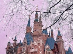 -上海迪士尼度假区