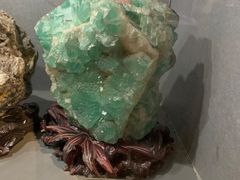 -陕西自然博物馆