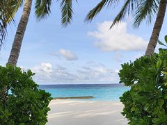 -中央格兰德岛温泉度假酒店 - 全包