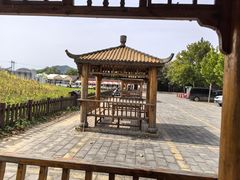 -北京十三陵国家森林公园蟒山景区