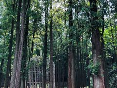 -上海月湖雕塑公园