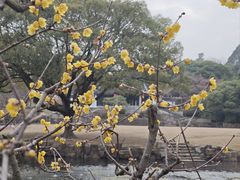 -无锡梅园公园