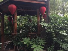 -西安国际创新人才交流中心•药浴温泉