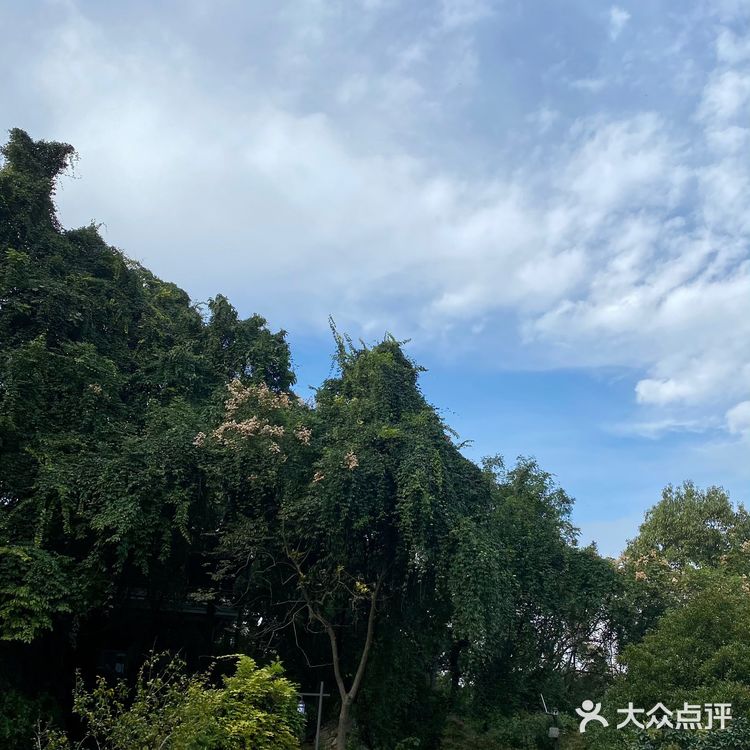 一千多年的书院📖，梁祝的美好爱情故事发源地