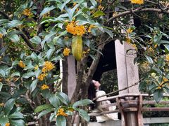 -解香楼(八盘岭路店)