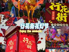 -越秀西湖花市(广州城市广场花卉店)