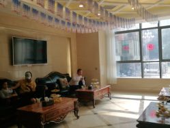 -碧莲盛·不剃发植发