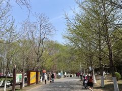 -长白岛森林公园