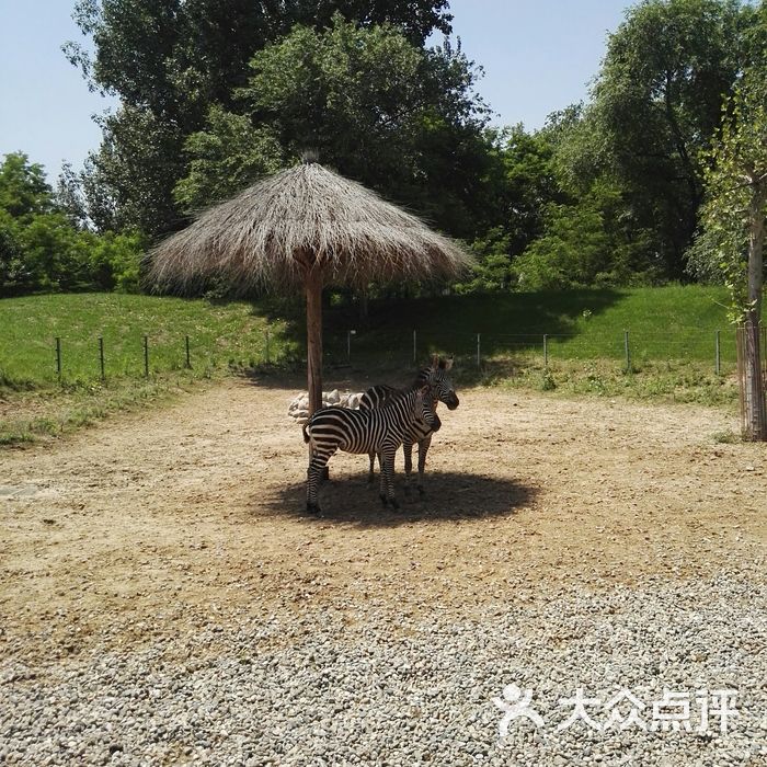 北京野生動物園