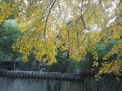 -无锡惠山寺