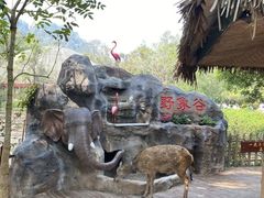 -野象谷景区