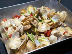 辣炒红岛花蛤蜊青岛特色海鲜-开海·红岛海鲜虾水饺(石老人店)
