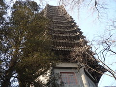 -博雅塔