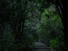 -北岭山森林公园