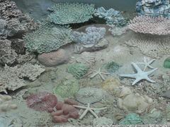 -自然餐厅(Phuket)