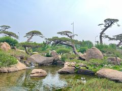 -罗红摄影艺术馆