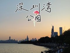 -深圳湾公园(南山区)
