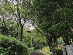 -广州市白云山风景名胜区