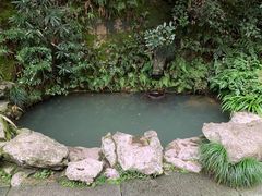 -十八棵（老龙井）御茶园(老龙井店)