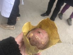 -小鱼草莓采摘园农家乐·小鱼餐厅