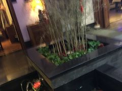 -碧露轩·大益茶体验馆(镇江路店)