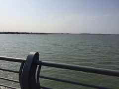 -漕湖湿地公园