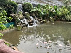 -吉隆坡雀鸟公园