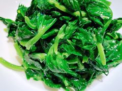 五粮液嫩豆苗-玫瑰厅上海菜(兴国路店)