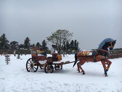 -爱来魔相4D艺术馆(济州中文馆)