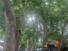 -静安公园(静安寺街道)