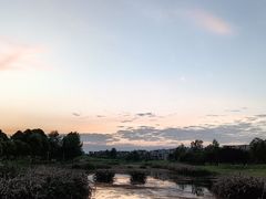 -两河城市森林公园