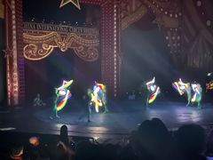 -珠海横琴长隆《卡卡虎奇遇记》