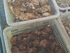-老太太海鲜城(森林公园任家台店)