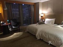 -成都明宇丽雅饭店
