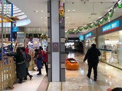 -紫荆广场·花漫里