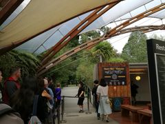 -怀托摩萤火虫洞