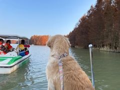 -上海长兴岛郊野公园