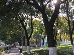 -喷泉公园
