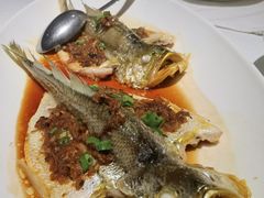 -悦海堂(金融街购物中心店)