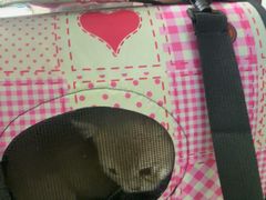 -瑞鹏宠物医院·宠保定点·心脏科·内科(御桥分院)