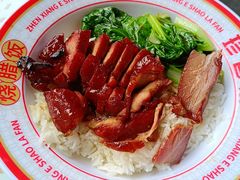 -珍香鹅(软件基地店)