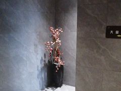 -星河湾温泉洗浴酒店