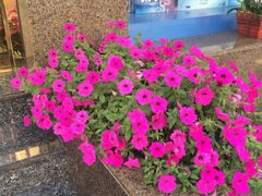 iphone_upload_pic-精益眼镜(春熙路店)