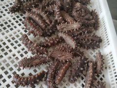 -东海金街农贸商城