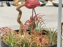 -虹御轩·传承江浙菜(虹桥店)