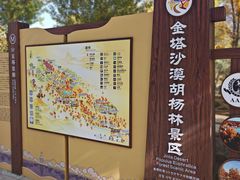-金塔沙漠胡杨林景区