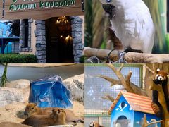 -海合安武汉极地海洋公园