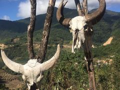 -沧源崖画
