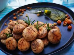 羞羞的蘑菇拳-烛影拾光观景餐厅·创意菜·摄影·小提琴(大唐不夜城店)