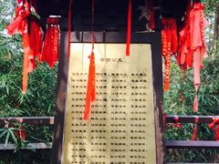 -梦姑塘文化公园